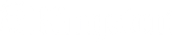 Kingston White Logo
