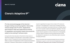 Introducing_Cienas_Adaptive_IP_WP-page1-v1-1